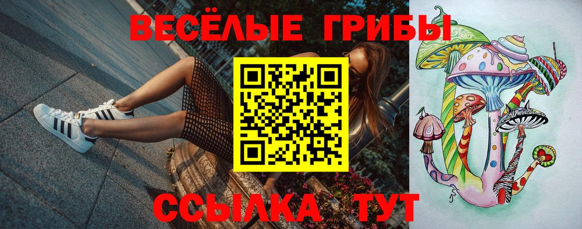 купить наркотик  Вход с VPN  Галлюциногенные грибы MAGIC MUSHROOMS  Краснознаменск  Псилоцибиновые грибы Psilocybe 